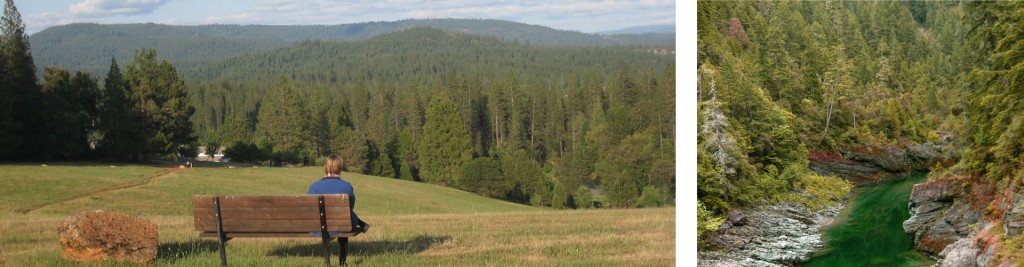 image-3-up-vista